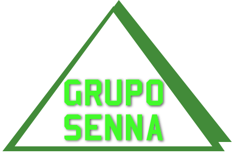 Grupo Senna Serviços